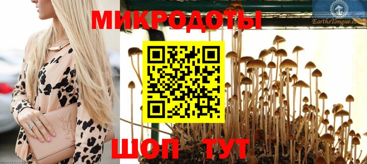 Псилоцибиновые грибы Psilocybe Хабаровск